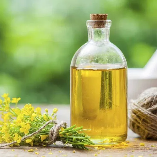 Refined Canola Oil